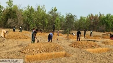 मनरेगा से बदली निम्मलगुड़ा की तस्वीर मनरेगा से बदली निम्मलगुड़ा की तस्वीर