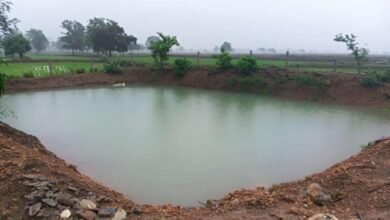 47 आजीविका डबरियां किसानों के लिए बनेंगी संबल, जल संरक्षण के साथ बढ़ेगी आय