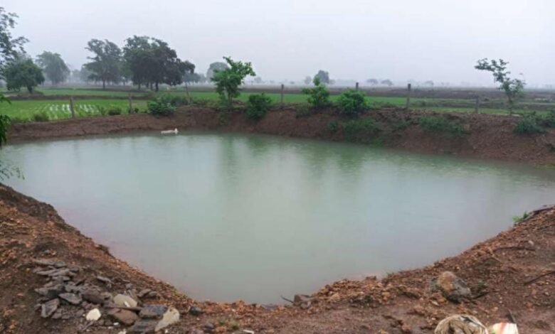 47 आजीविका डबरियां किसानों के लिए बनेंगी संबल, जल संरक्षण के साथ बढ़ेगी आय 47 आजीविका डबरियां किसानों के लिए बनेंगी संबल, जल संरक्षण के साथ बढ़ेगी आय