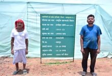 ऑयल पाम से लेकर आम-लीची, स्ट्रॉबेरी, टमाटर और फूलगोभी की खेती से बढ़ी आय