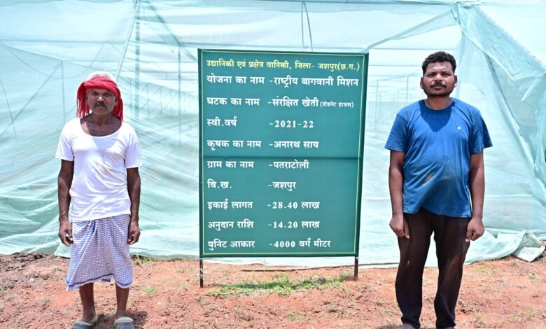 ऑयल पाम से लेकर आम-लीची, स्ट्रॉबेरी, टमाटर और फूलगोभी की खेती से बढ़ी आय ऑयल पाम से लेकर आम-लीची, स्ट्रॉबेरी, टमाटर और फूलगोभी की खेती से बढ़ी आय