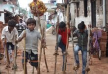 छत्तीसगढ़ का लोक-पर्व: हरेली तिहार