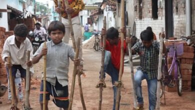 छत्तीसगढ़ का लोक-पर्व: हरेली तिहार