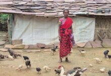 बस्तर के खेतों में बही समृद्धि की बयार