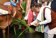विष्णु सरकार ने बढ़ाया किसानों का मान-खेती किसानी को मिला नया संबल