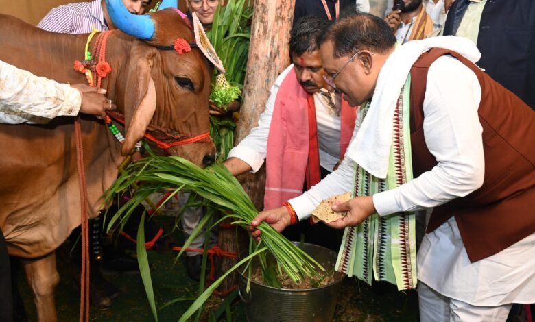 विष्णु सरकार ने बढ़ाया किसानों का मान-खेती किसानी को मिला नया संबल विष्णु सरकार ने बढ़ाया किसानों का मान-खेती किसानी को मिला नया संबल