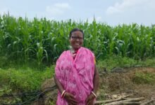 ‘बिहान’ से मिला आर्थिक संबल, मक्का उत्पादन ने माया विश्वास को बनाया ‘लखपति दीदी’