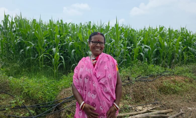 ‘बिहान’ से मिला आर्थिक संबल, मक्का उत्पादन ने माया विश्वास को बनाया ‘लखपति दीदी’ ‘बिहान’ से मिला आर्थिक संबल, मक्का उत्पादन ने माया विश्वास को बनाया ‘लखपति दीदी’