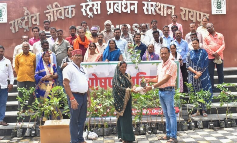 आईसीएआर-एनआईबीएसएम द्वारा ‘पोषण वाटिका’ पर प्रशिक्षण कार्यक्रम आयोजित आईसीएआर-एनआईबीएसएम द्वारा ‘पोषण वाटिका’ पर प्रशिक्षण कार्यक्रम आयोजित