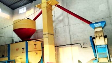 बिहान योजना से आत्मनिर्भर बनीं बिलासपुर की महिलाएं