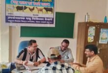 पशुपालन केसीसी से धमतरी के 93 पशुपालकों को मिली 98.62 लाख की वित्तीय संजीवनी