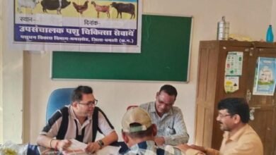 पशुपालन केसीसी से धमतरी के 93 पशुपालकों को मिली 98.62 लाख की वित्तीय संजीवनी