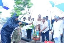 ‘एक पेड़ माँ के नाम’ अभियान से पर्यावरण संरक्षण का संदेश, मंत्री श्री राजेश अग्रवाल ने किया वृक्षारोपण