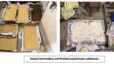 महाराष्ट्र में डीआरआई ने अवैध ड्रग निर्माण इकाई का किया भंडाफोड़, दो गिरफ्तार