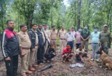 मृत भालू के नाखून काटकर ले जाने वाले दो आरोपी गिरफ्तार