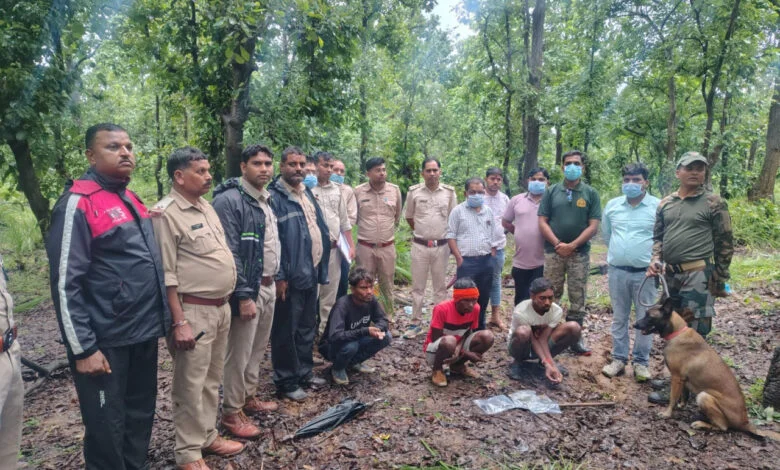 मृत भालू के नाखून काटकर ले जाने वाले दो आरोपी गिरफ्तार मृत भालू के नाखून काटकर ले जाने वाले दो आरोपी गिरफ्तार