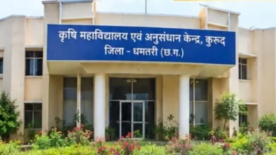 मेहनत, नवाचार और टीम भावना से कृषि महाविद्यालय ने हासिल की बड़ी उपलब्धि मेहनत, नवाचार और टीम भावना से कृषि महाविद्यालय ने हासिल की बड़ी उपलब्धि