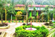 पीएमश्री स्कूल के उन्नयन से महासमुंद के शासकीय प्राथमिक शाला चनाट का हुआ कायाकल्प
