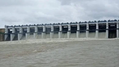 भारी बारिश से लबालब हुए जलाशय, महानदी किनारे गांवों में अलर्ट, गंगरेल से छोड़ा जा रहा पानी