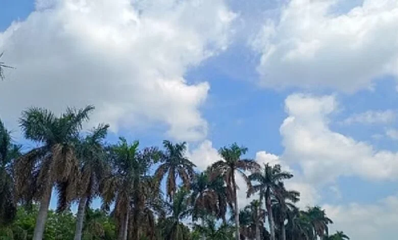 छत्तीसगढ़ में मानसून की बारिश पर लगी ब्रेक, बढ़ा तापमान छत्तीसगढ़ में मानसून की बारिश पर लगी ब्रेक, बढ़ा तापमान