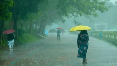 छत्तीसगढ़ में बारिश का असर, धमतरी में स्कूलों की छुट्टी छत्तीसगढ़ में बारिश का असर, धमतरी में स्कूलों की छुट्टी