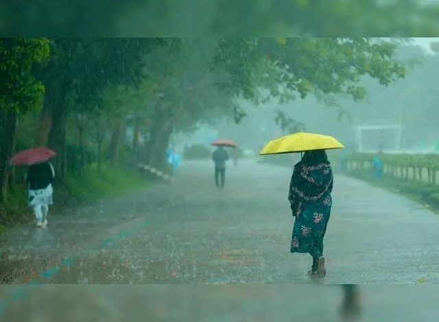 छत्तीसगढ़ में बारिश का असर, धमतरी में स्कूलों की छुट्टी छत्तीसगढ़ में बारिश का असर, धमतरी में स्कूलों की छुट्टी