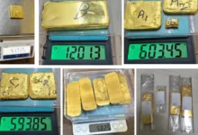 सोने की तस्करी करने वाले नेटवर्क का भंडाफोड़, 6.6 किग्रा. विदेशी सोना ज़ब्त, 11 लोग गिरफ्तार