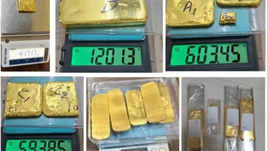 सोने की तस्करी करने वाले नेटवर्क का भंडाफोड़, 6.6 किग्रा. विदेशी सोना ज़ब्त, 11 लोग गिरफ्तार सोने की तस्करी करने वाले नेटवर्क का भंडाफोड़, 6.6 किग्रा. विदेशी सोना ज़ब्त, 11 लोग गिरफ्तार
