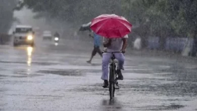 छत्तीसगढ़ में मानसून मेहरबान, प्रदेश में अब तक 996.5 मि.मी बारिश, यहां सबसे कम वर्षा छत्तीसगढ़ में मानसून मेहरबान, प्रदेश में अब तक 996.5 मि.मी बारिश, यहां सबसे कम वर्षा