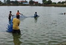बदली किसानों की किस्मत प्रधानमंत्री मत्स्य संपदा योजना से
