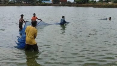 बदली किसानों की किस्मत प्रधानमंत्री मत्स्य संपदा योजना से बदली किसानों की किस्मत प्रधानमंत्री मत्स्य संपदा योजना से