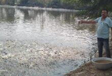 सेवा संकल्प से संवरी उम्मीद