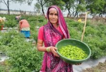 ‘तीखी मिर्च’ से घुली जीवन में मिठास