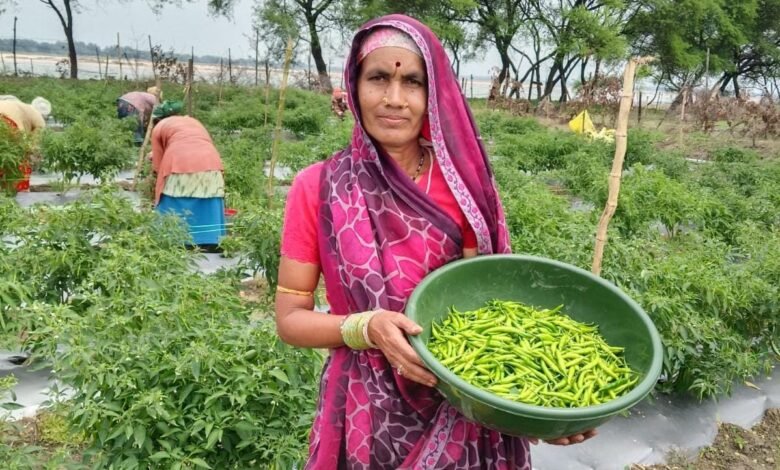 ‘तीखी मिर्च’ से घुली जीवन में मिठास ‘तीखी मिर्च’ से घुली जीवन में मिठास