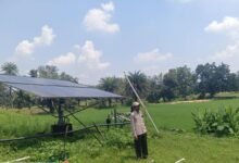 सौर सुजला योजना से बदली किसान चरण सिंह की खेती की तस्वीर
