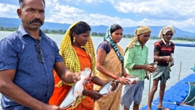 54 केज में आधुनिक मछली पालन से बढ़ी आय, 44 मछुआरा परिवारों को मिला रोजगार का स्थायी आधार 54 केज में आधुनिक मछली पालन से बढ़ी आय, 44 मछुआरा परिवारों को मिला रोजगार का स्थायी आधार