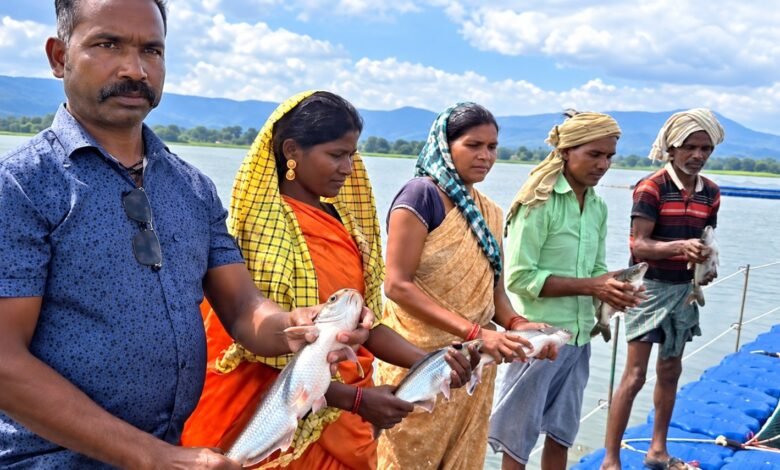 54 केज में आधुनिक मछली पालन से बढ़ी आय, 44 मछुआरा परिवारों को मिला रोजगार का स्थायी आधार 54 केज में आधुनिक मछली पालन से बढ़ी आय, 44 मछुआरा परिवारों को मिला रोजगार का स्थायी आधार