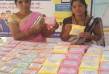 लखपति दीदी डोंगरगढ़ की दिनेश्वरी सोरी ने ‘बिहान’ योजना से बदली तकदीर