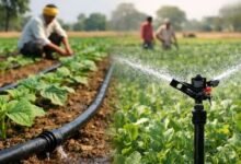 जल संसाधन विभाग की बड़ी सौगात