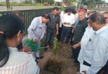 गांधी जयंती पर औद्योगिक क्षेत्र कोरबा में लगाए गए लगभग 100 पौधे