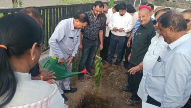 गांधी जयंती पर औद्योगिक क्षेत्र कोरबा में लगाए गए लगभग 100 पौधे
