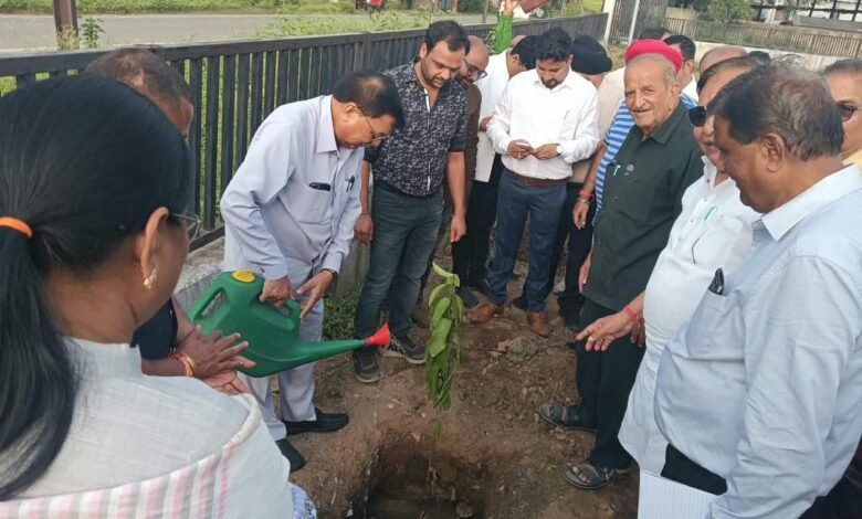 गांधी जयंती पर औद्योगिक क्षेत्र कोरबा में लगाए गए लगभग 100 पौधे गांधी जयंती पर औद्योगिक क्षेत्र कोरबा में लगाए गए लगभग 100 पौधे