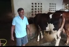 पशुपालन विभाग की तकनीकी सहायता और कृत्रिम गर्भाधान से अगस्तु खाखा ने संवारी आजीविका
