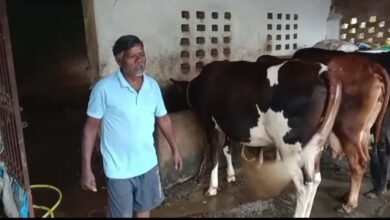 पशुपालन विभाग की तकनीकी सहायता और कृत्रिम गर्भाधान से अगस्तु खाखा ने संवारी आजीविका