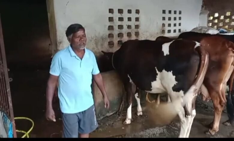 पशुपालन विभाग की तकनीकी सहायता और कृत्रिम गर्भाधान से अगस्तु खाखा ने संवारी आजीविका