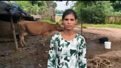 राज्य डेयरी उद्यमिता विकास योजना से मिला आर्थिक सहयोग, प्रतिदिन 30 लीटर दूध उत्पादन से मजबूत हुई आजीविका