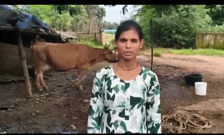 राज्य डेयरी उद्यमिता विकास योजना से मिला आर्थिक सहयोग, प्रतिदिन 30 लीटर दूध उत्पादन से मजबूत हुई आजीविका राज्य डेयरी उद्यमिता विकास योजना से मिला आर्थिक सहयोग, प्रतिदिन 30 लीटर दूध उत्पादन से मजबूत हुई आजीविका