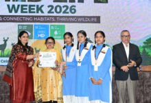 कला और कल्पनाशीलता से युवाओं ने दिया वन्यजीव संरक्षण का संदेश