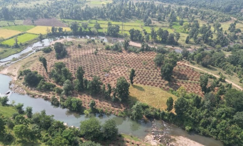 मरवाही के डोंगरी टोला में निर्मित 3 हजार कंटूर ट्रेंच बनेंगे जल संरक्षण का मजबूत आधार, 250 परिवारों को मिलेगी राहत मरवाही के डोंगरी टोला में निर्मित 3 हजार कंटूर ट्रेंच बनेंगे जल संरक्षण का मजबूत आधार, 250 परिवारों को मिलेगी राहत