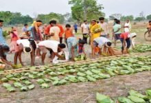छत्तीसगढ़ में तेन्दूपत्ता संग्राहक परिवारों के लिए बड़ी राहत: राजमोहिनी देवी योजना के तहत 169 परिवारों को ₹2.42 करोड़ जारी